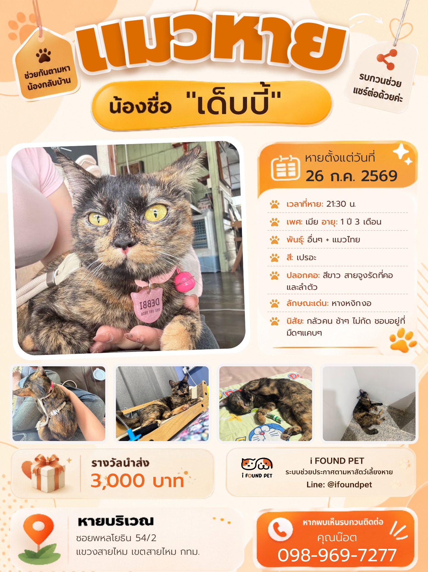 เด็บบี้